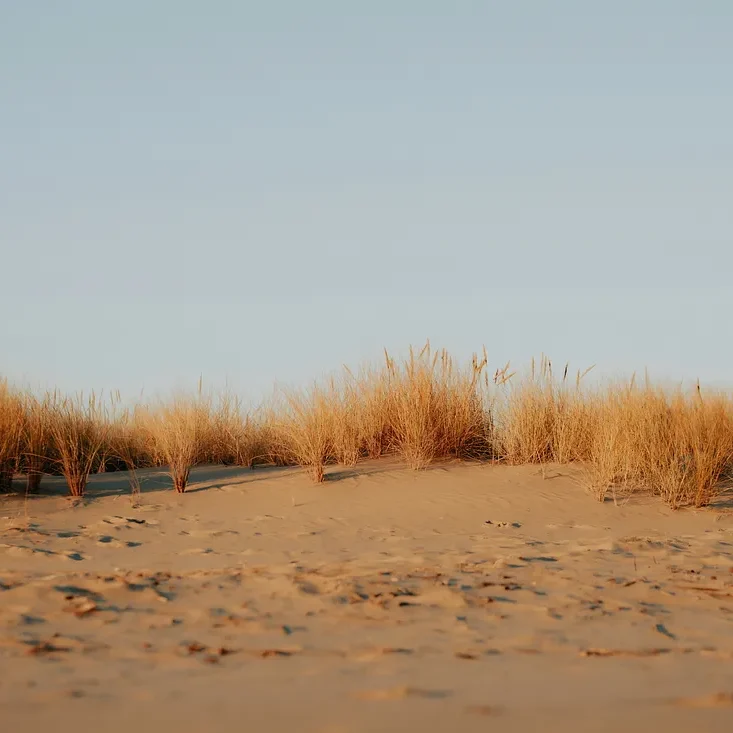 1_kxuH7UQlZN7RNp6fMMs8Dw