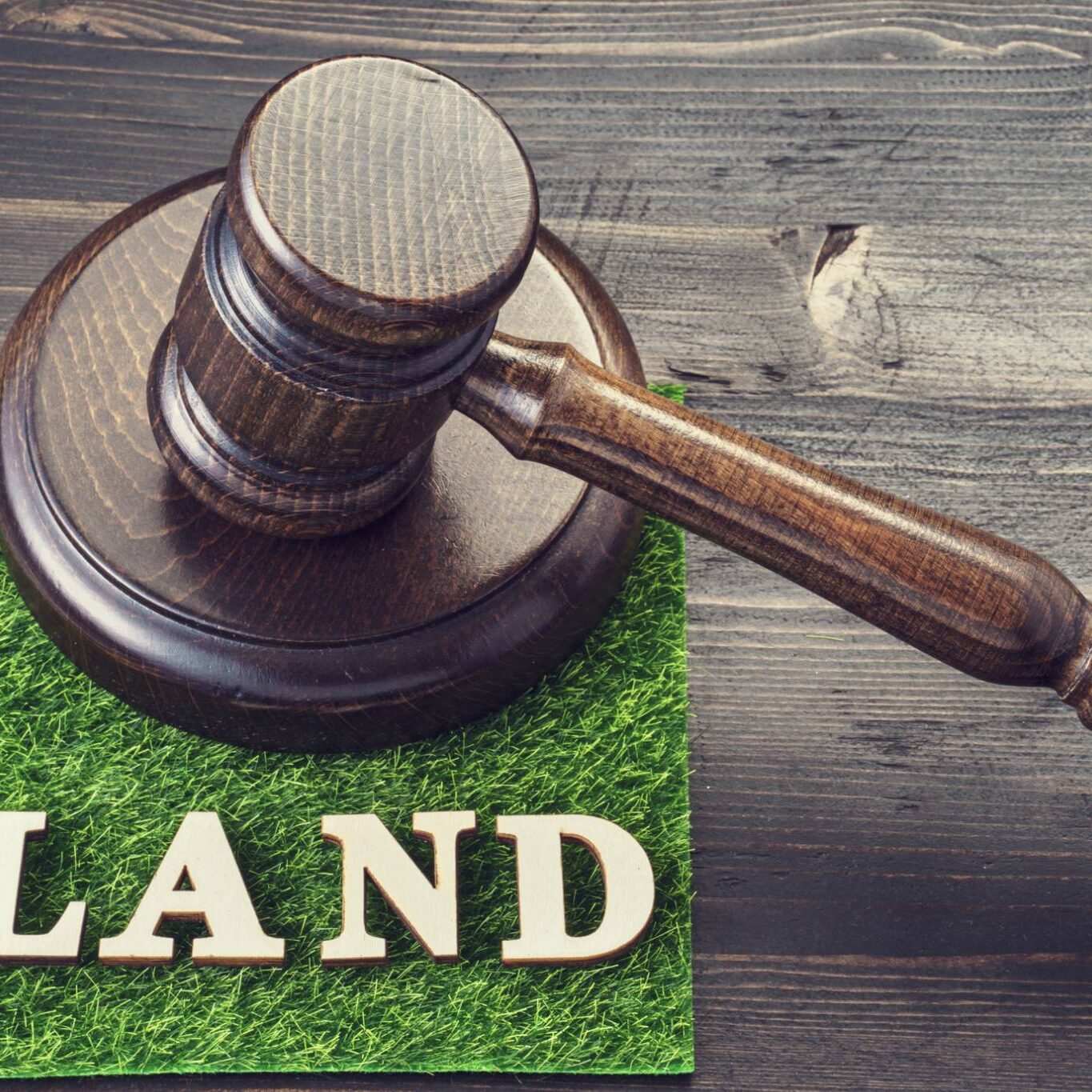 Wooden gavel and land concept